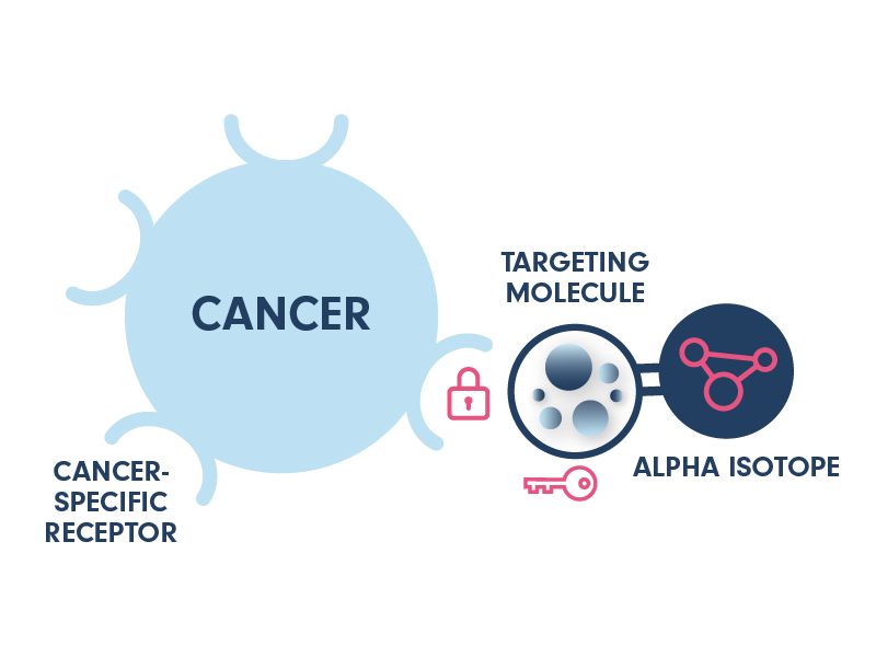 Targeted alpha therapy Targeted alpha therapy